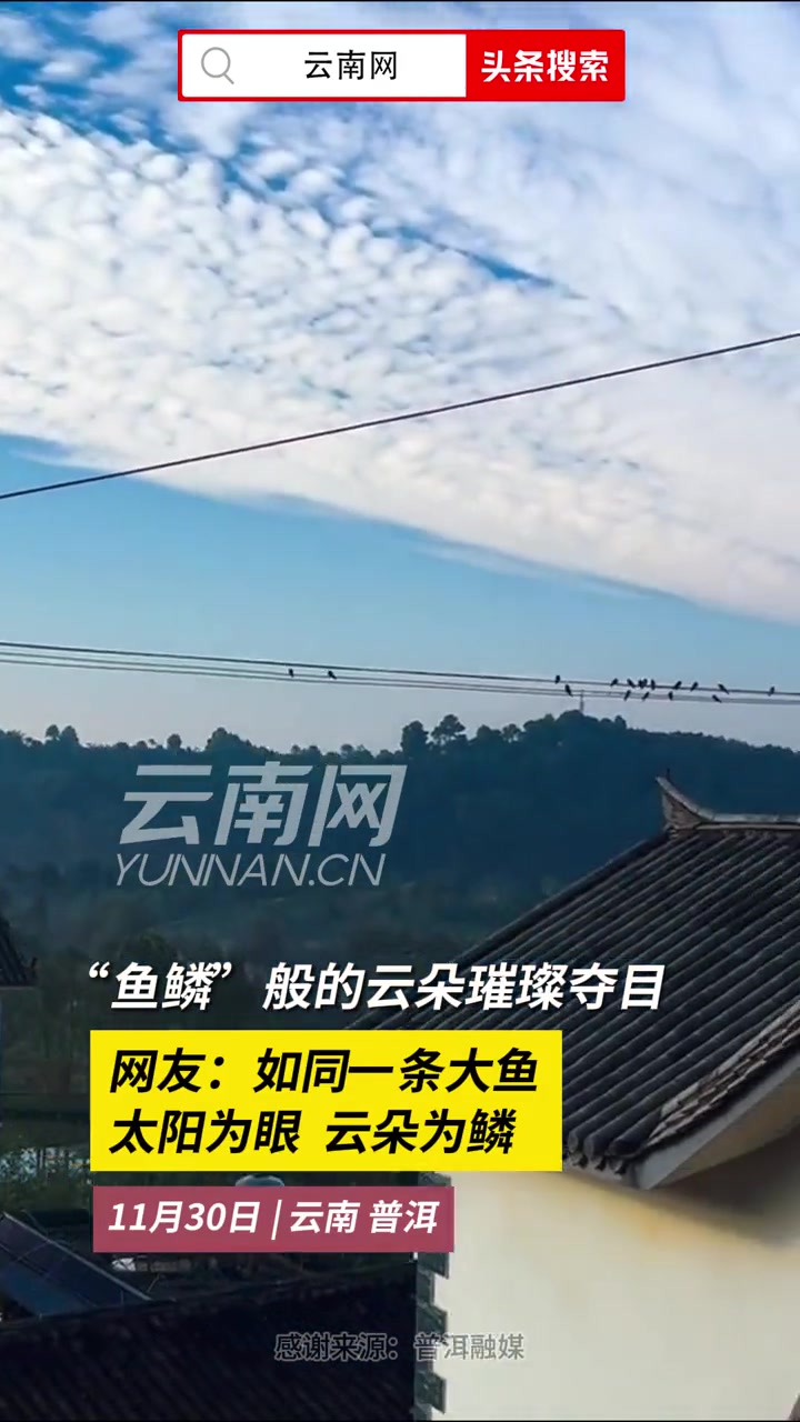 “鱼鳞”般的云朵璀璨夺目~网友:如同一条大鱼,太阳为眼,云朵为鳞。云彩 云南的云 共建共享