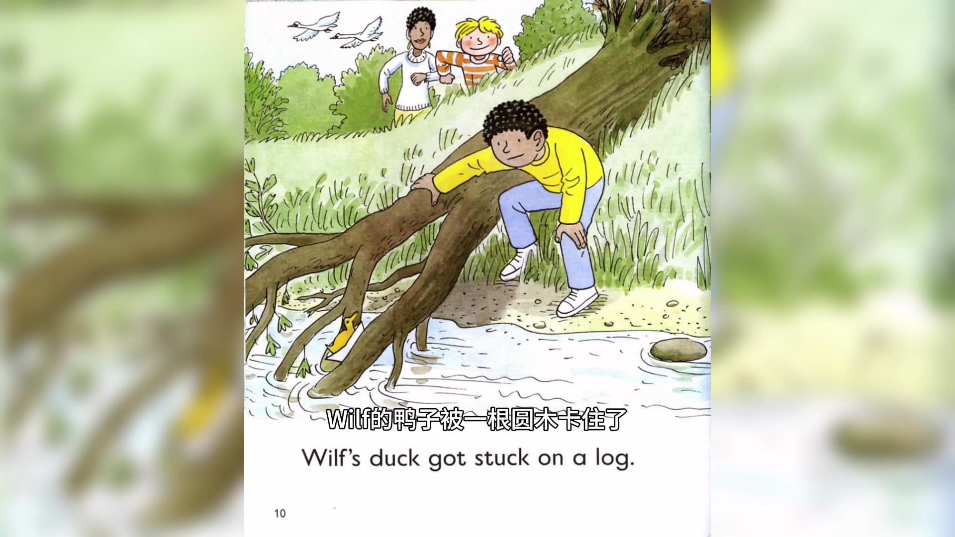 牛津树3-1 The Duck Race 鸭子比赛