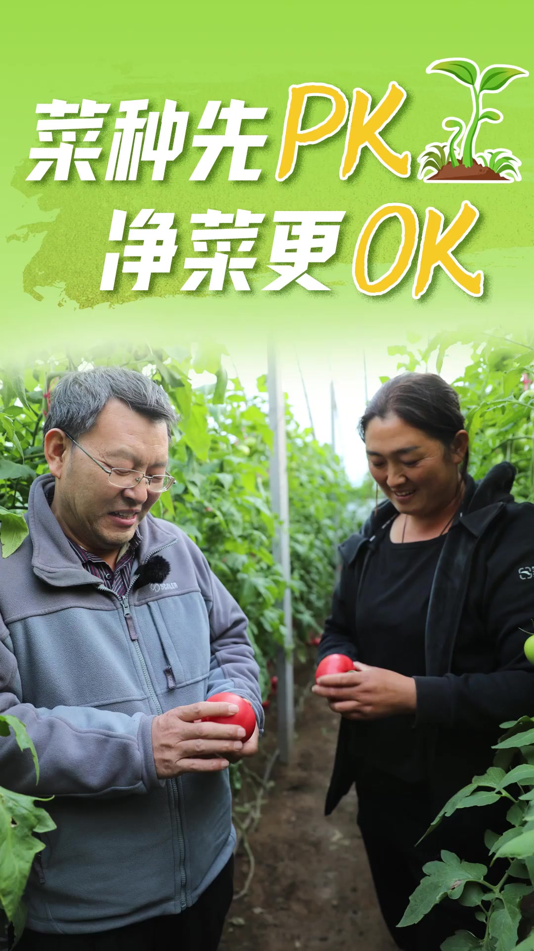 菜种先PK 净菜更OK