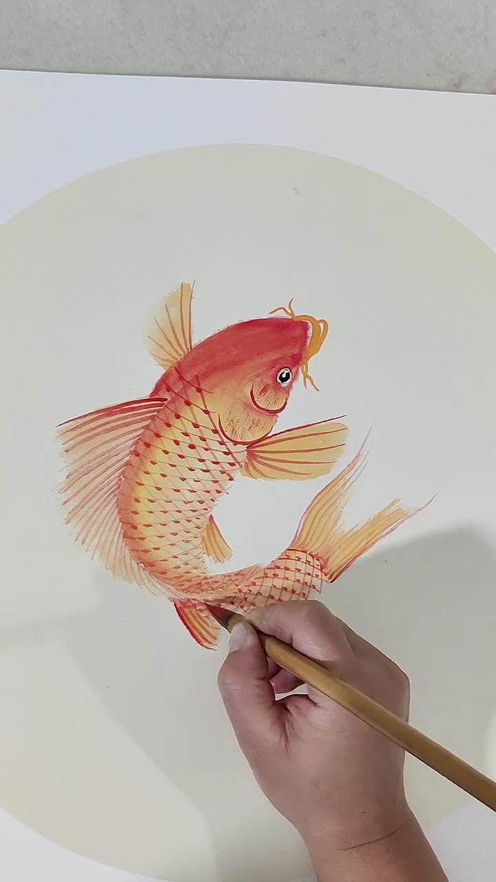 快速学画鲤鱼