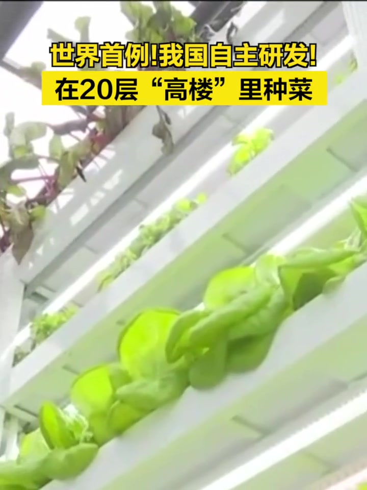 「世界首例!我国自主研发!在20层“高楼”里种菜」我国首座20层无人化垂直种菜工厂投产 垂
