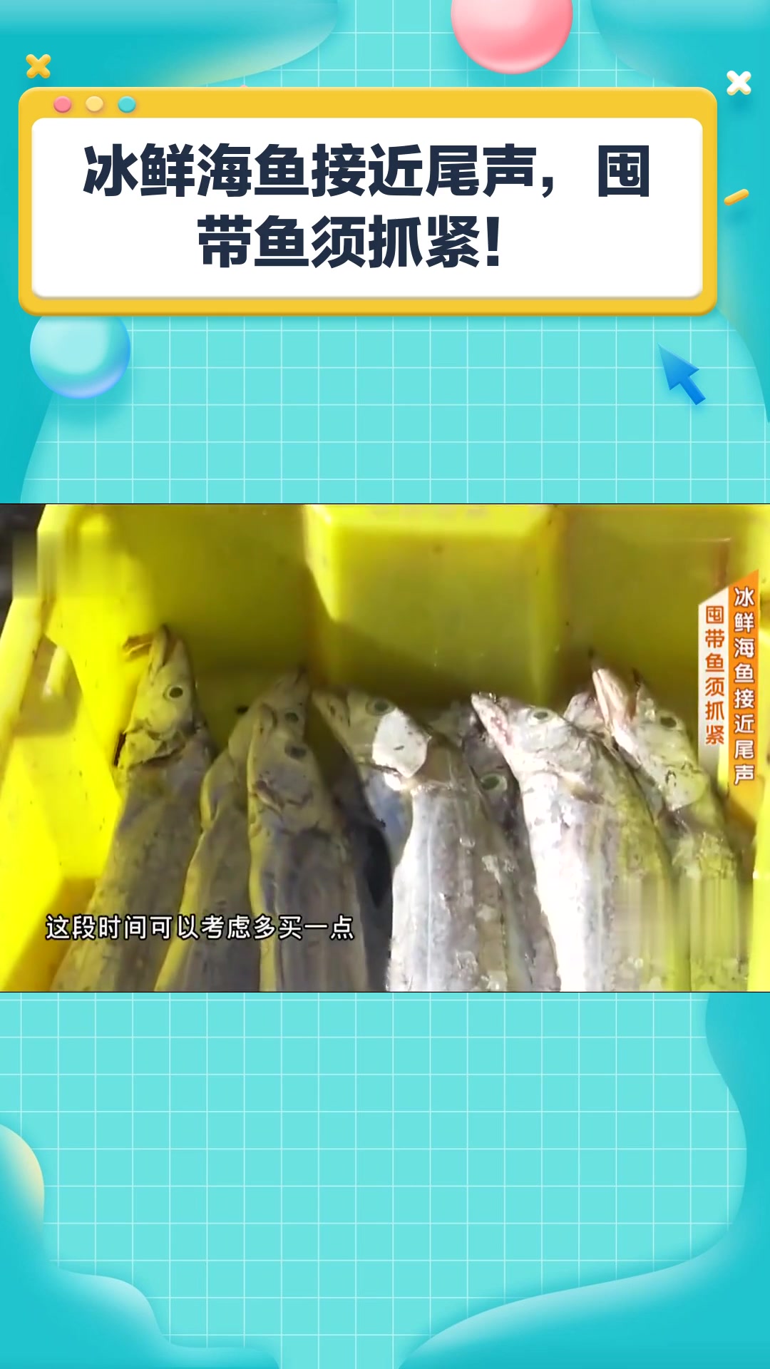 冰鲜海鱼接近尾声,囤带鱼须抓紧!