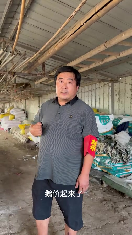 养鹅要想70天后出栏卖个好价钱,用料该怎么配呢?