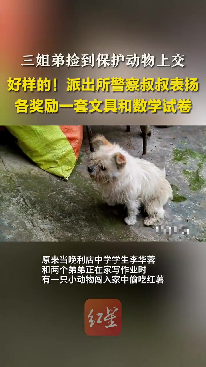 3姐弟上交果子狸警察叔叔奖励数学试卷「四川3姐弟捡到三有保护动物果断上交!警察叔叔表扬并奖