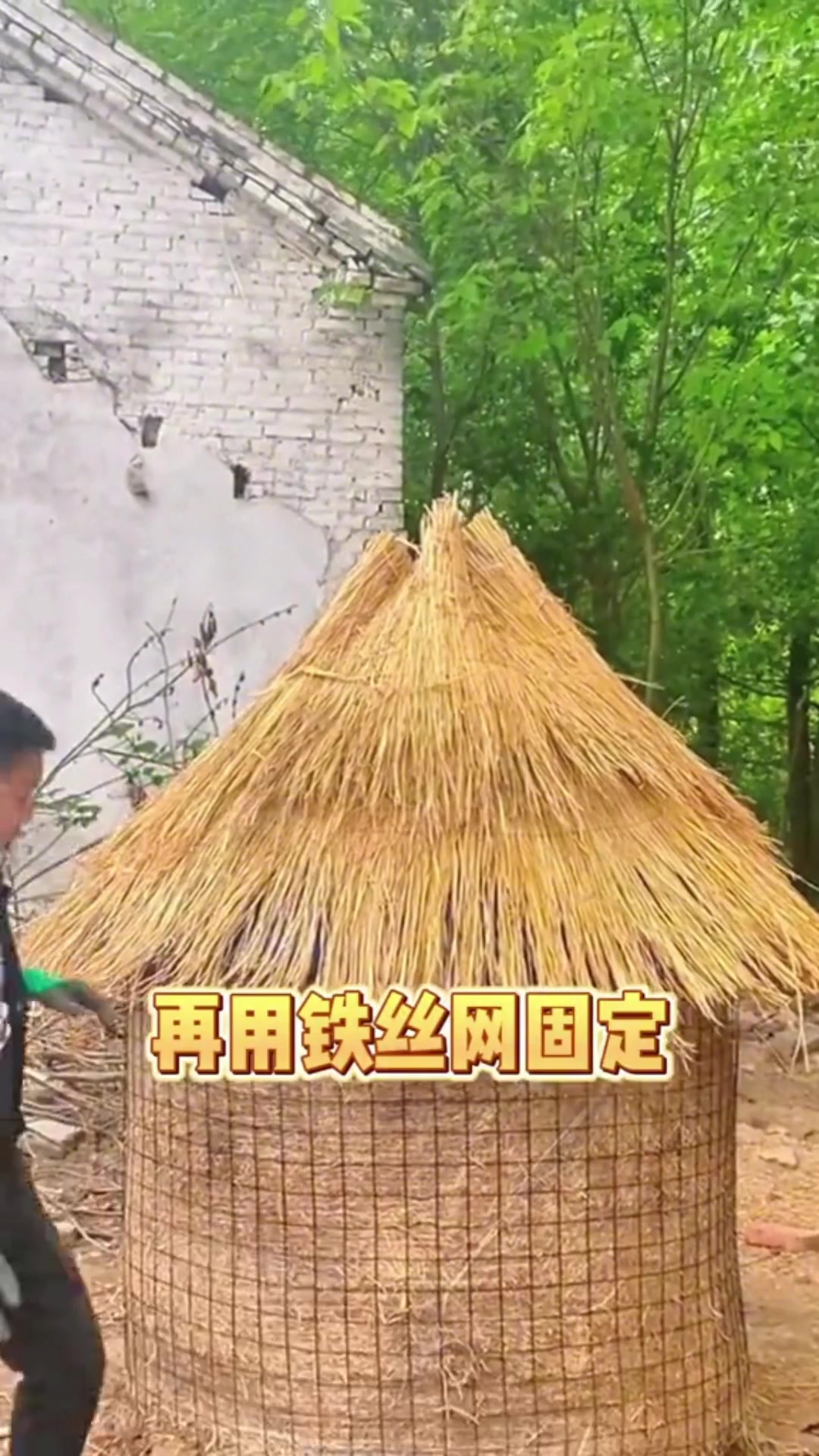 如何低成本建造农场养鸡,试试这个鸡窝好看又出片!