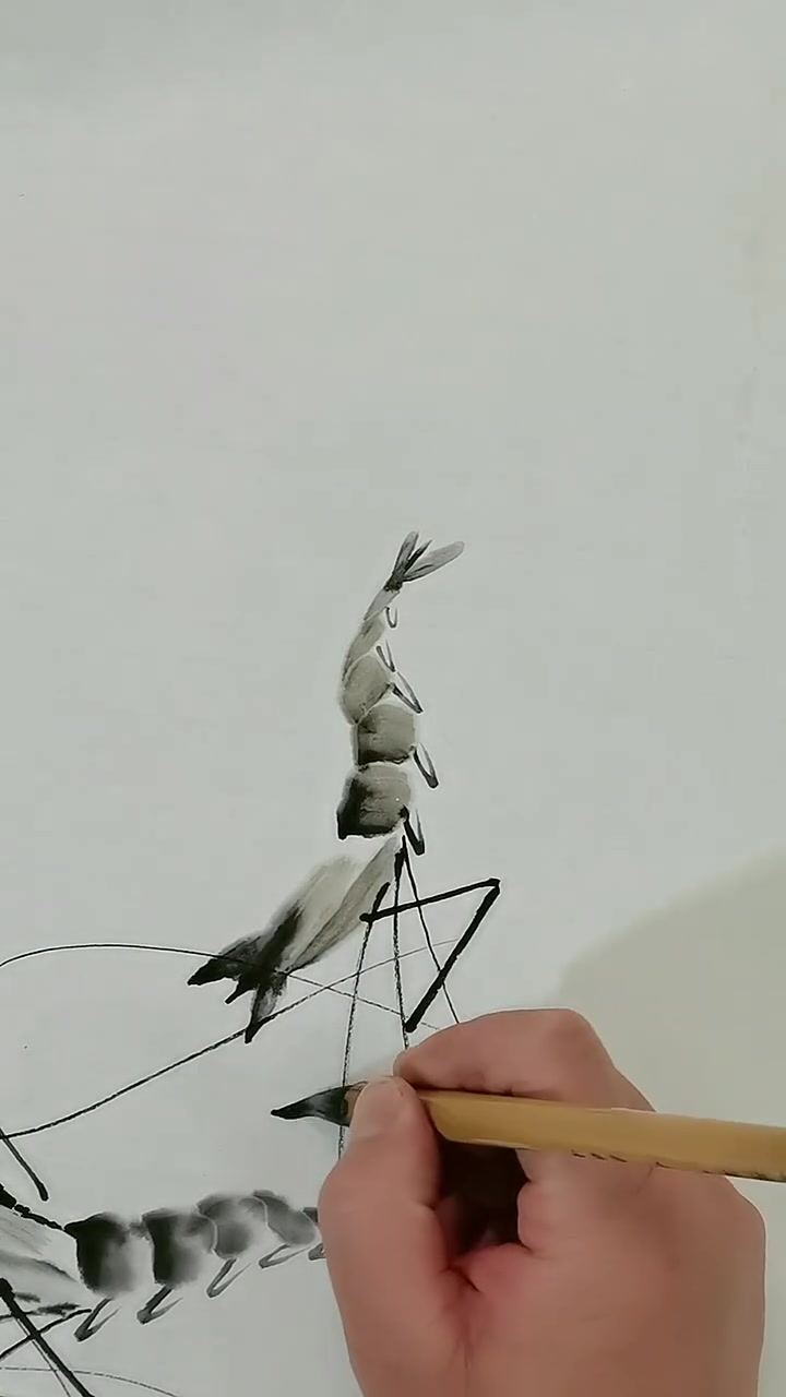 教你画齐白石水墨虾