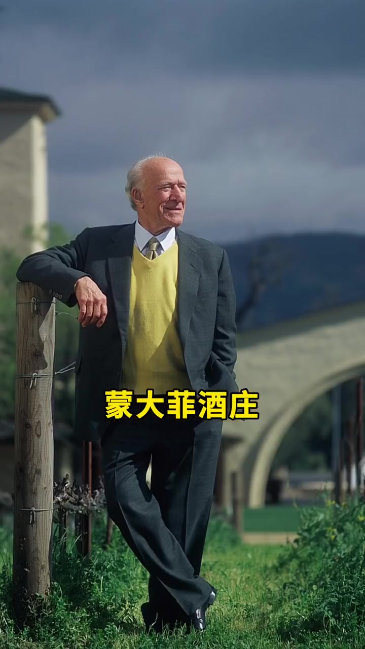 香气爆棚的奶油炸弹,好喝不贵!葡萄酒 性价比高的红酒推荐