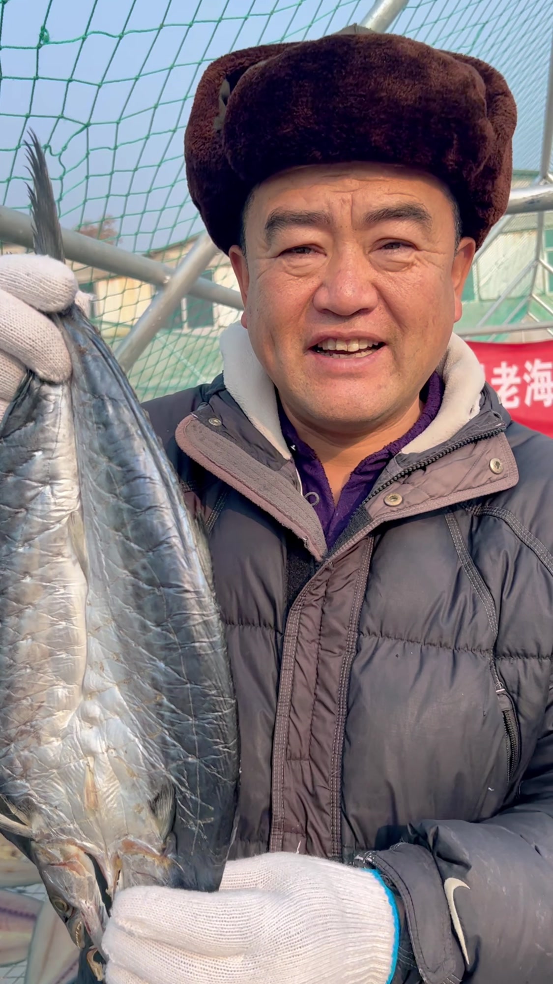 渔民老海推荐胶东一卤鲜鲅鱼干,天然晾晒,香煎油炸都好吃
