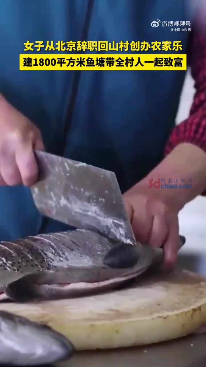 「女子辞职回乡建1800平米鱼塘」张霞从北京辞职回到老家接手父亲的鱼塘并经营农家乐。刚开始