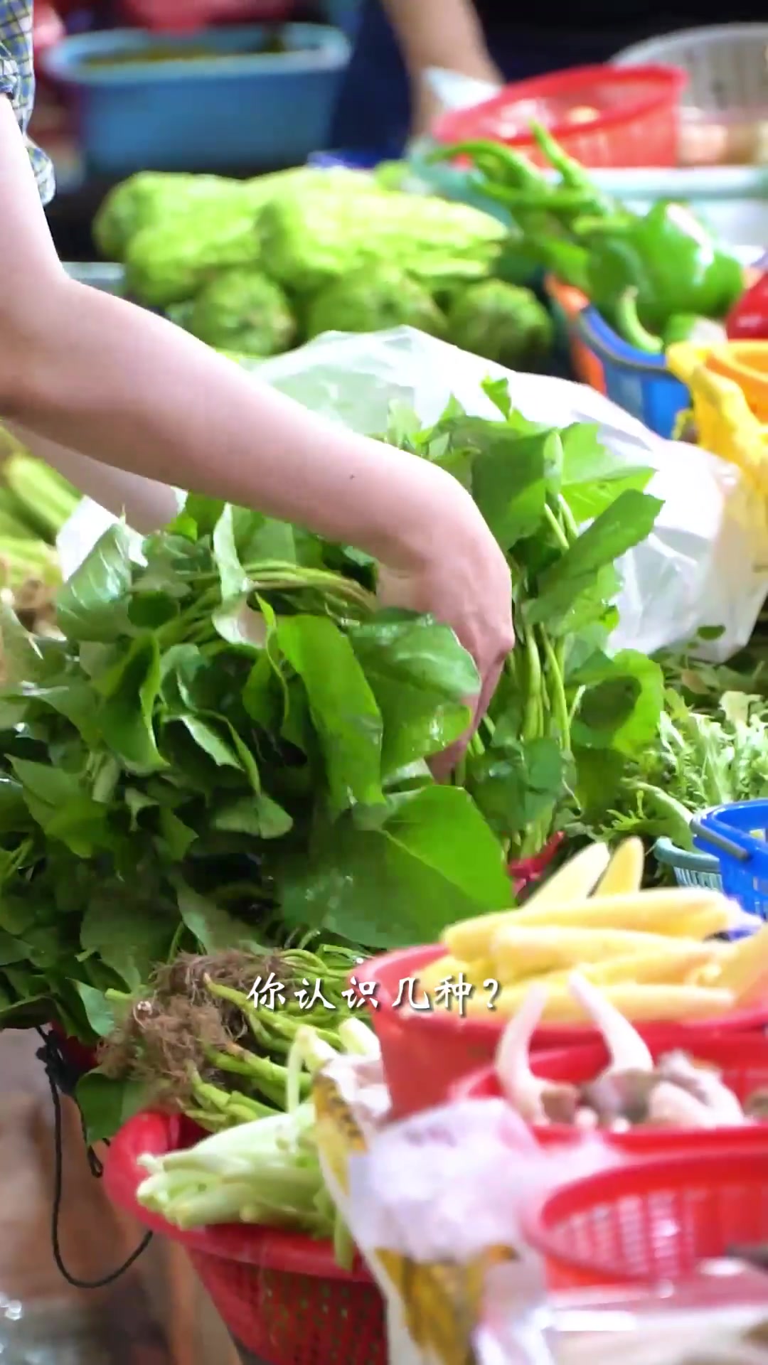 这些潮汕常见青菜的名字,你能叫对几个?潮汕美食 汕头海鲜火锅有多绝 终于吃到正宗的广东肠粉