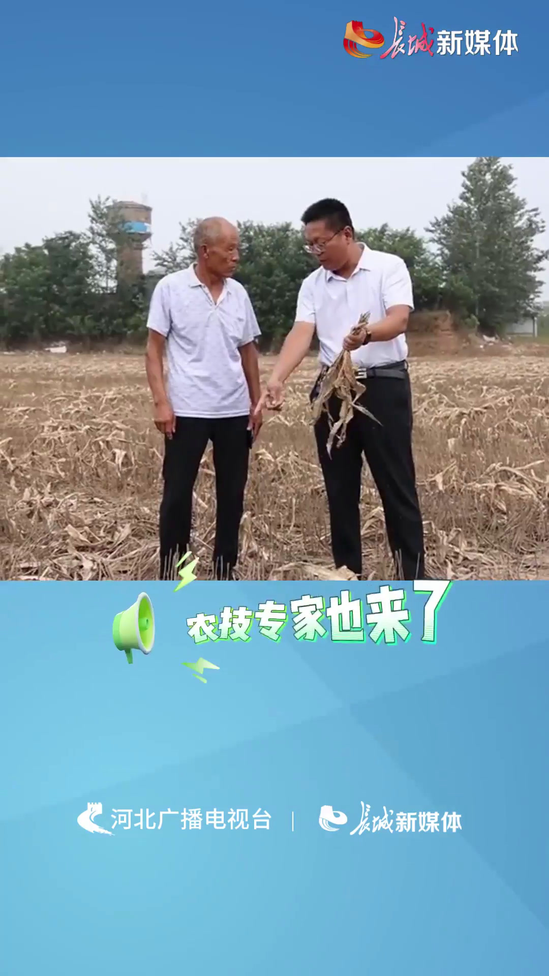 涿州潘各庄:“水淹地”白菜丰收了