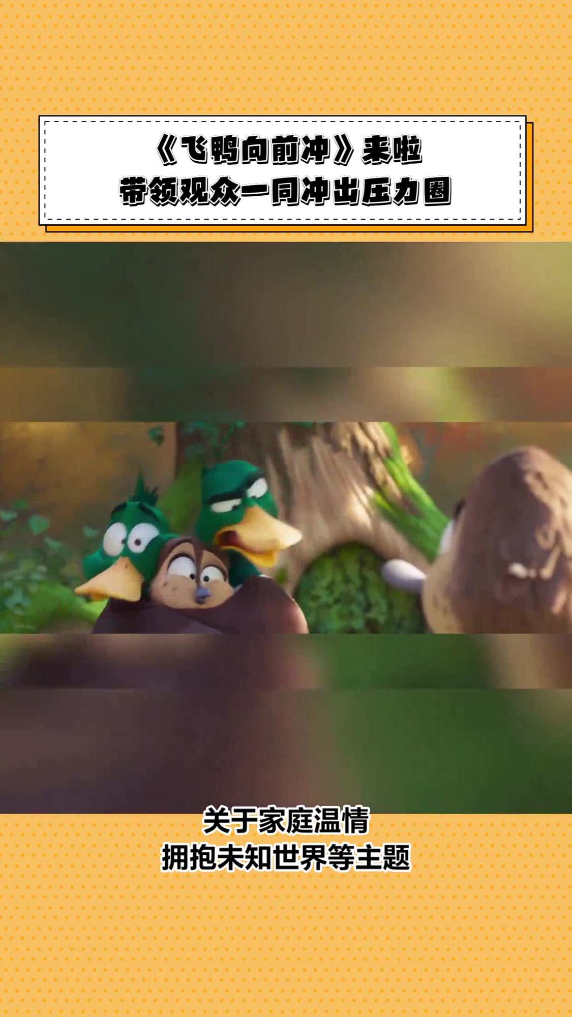 岁末解压大片,《飞鸭向前冲》来啦,带领观众一同冲出压力圈