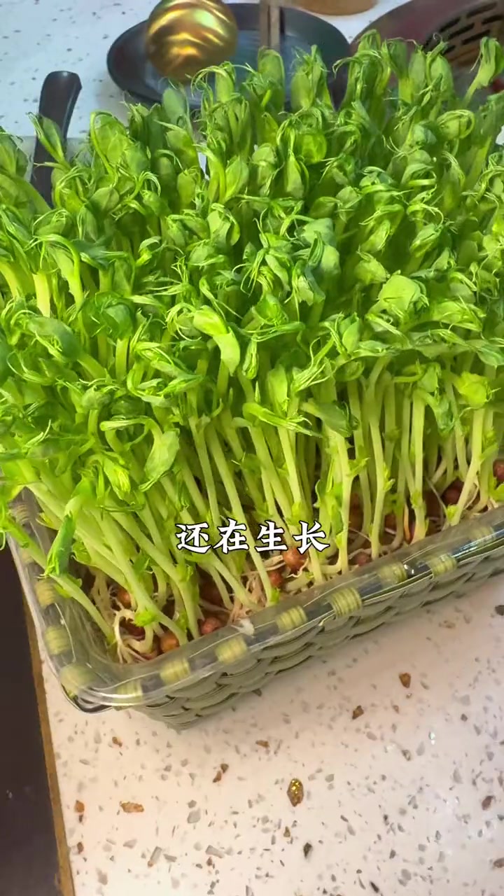 好吃上瘾的火锅店推荐 冬天就适合吃火锅 火锅约起来 火锅 吃火锅