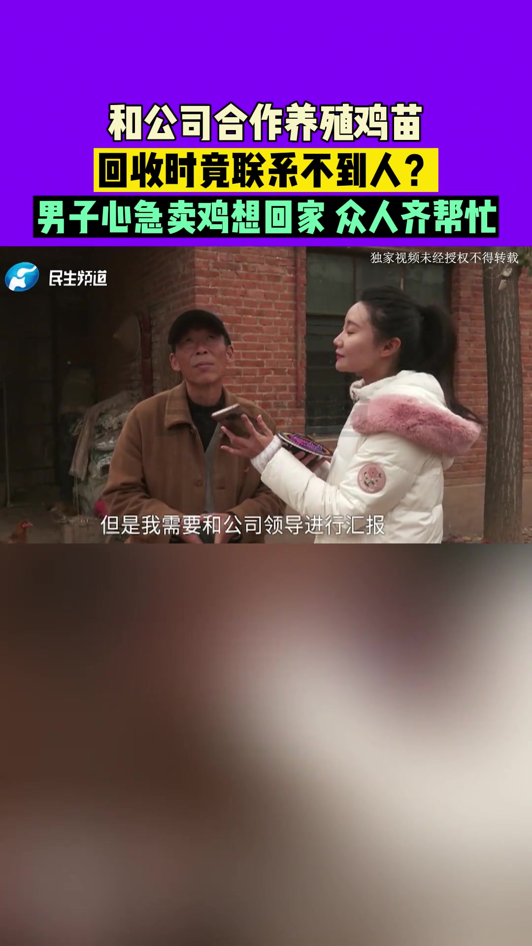 河南唐河县:和公司合作养殖鸡苗,回收时竟联系不到人?男子心急卖鸡想回家,众人齐帮忙 养殖