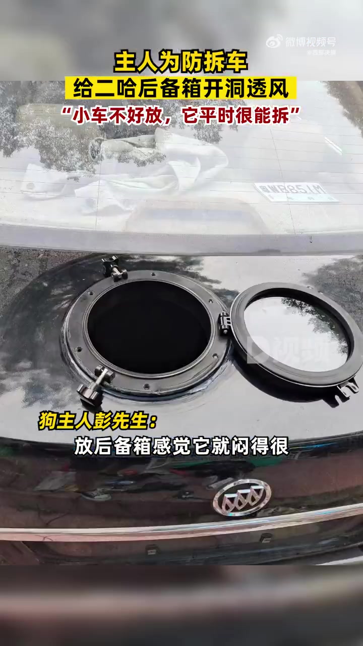 「主人为二哈后备箱开洞透风防拆车:小车不好放,它平时很能拆」12月5日,广东云浮。网友发布