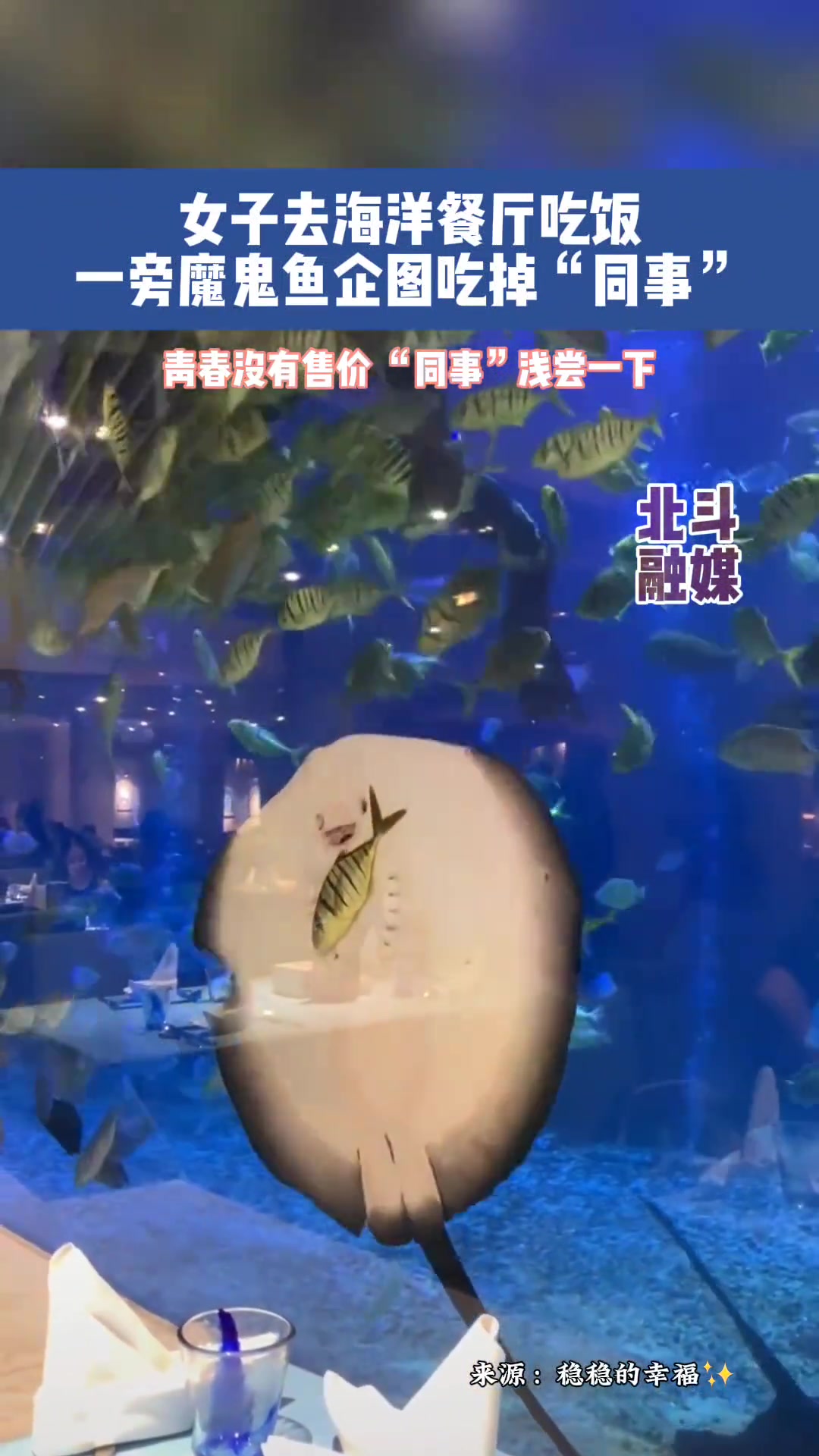 12月4日,海南三亚。女子去海洋餐厅吃饭,一旁魔鬼鱼企图吃掉“同事”!青春没有售价 “同事