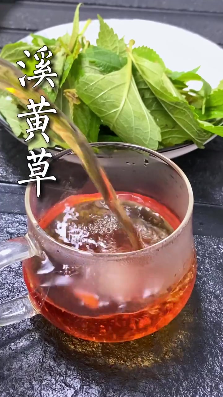 一年一岁不一样,要对自己好一点。溪黄草 溪黄茶 每日一茶 今天你喝茶了吗