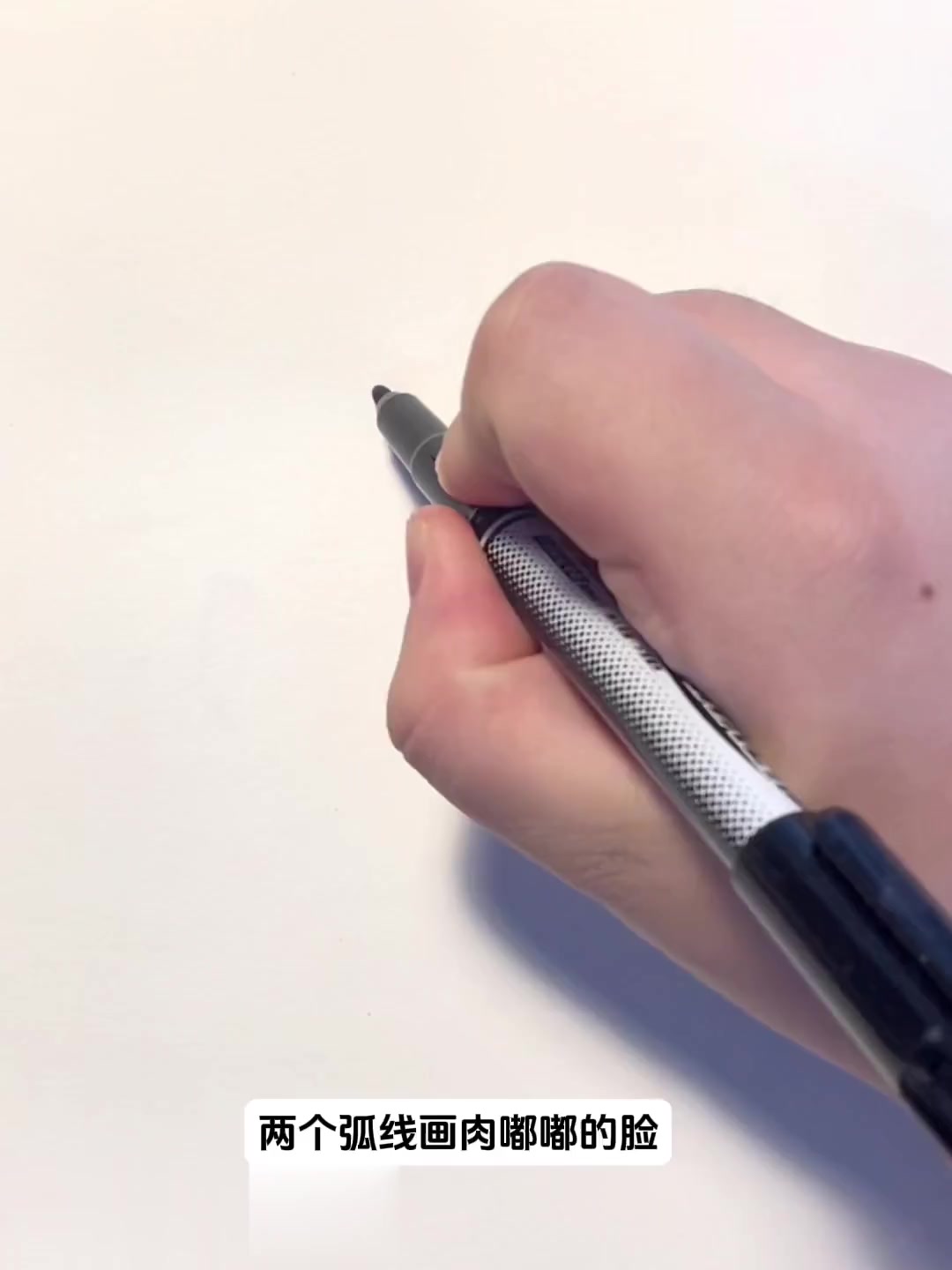 超可爱又简单的小海獭简笔画
