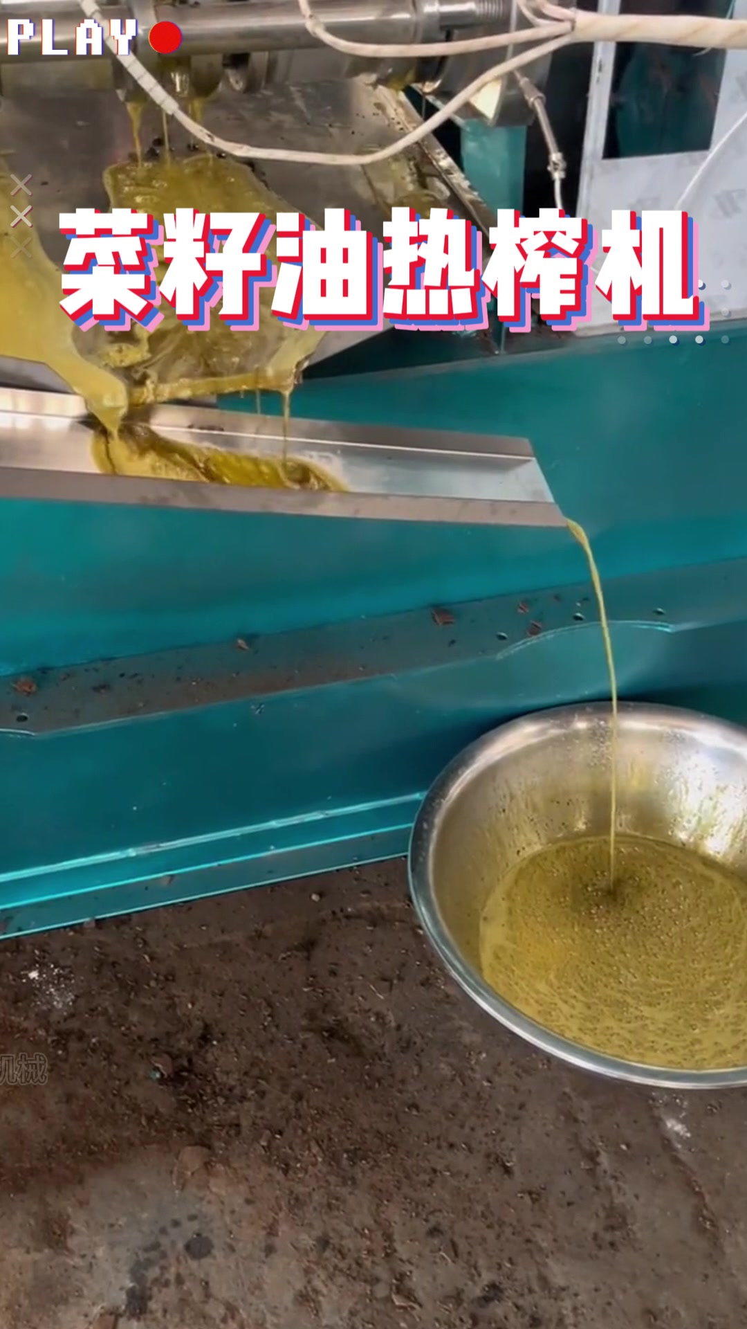 油菜籽热榨榨油机 先炒料后压榨 可压榨核桃 棉籽 花生 桐籽 茶籽