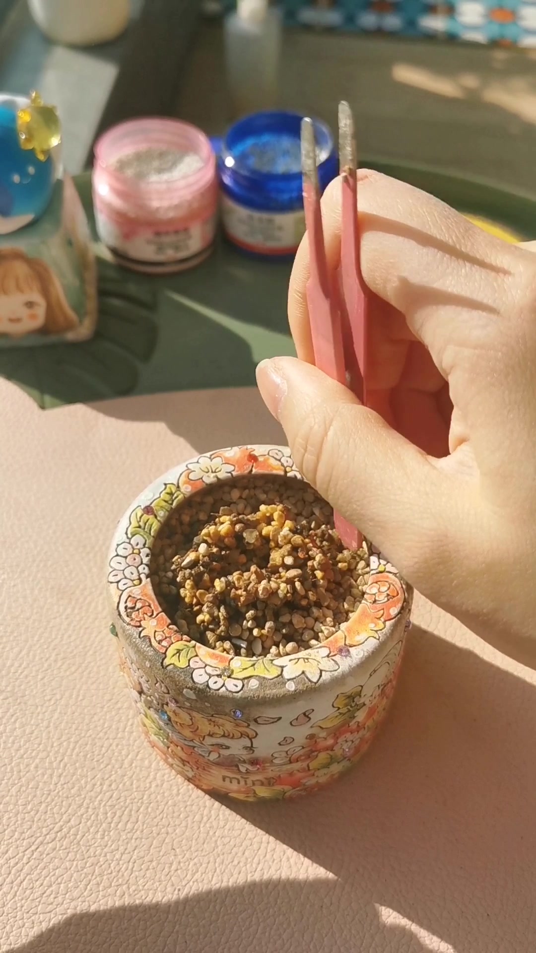 多肉植物上盆日记——白天鹅
