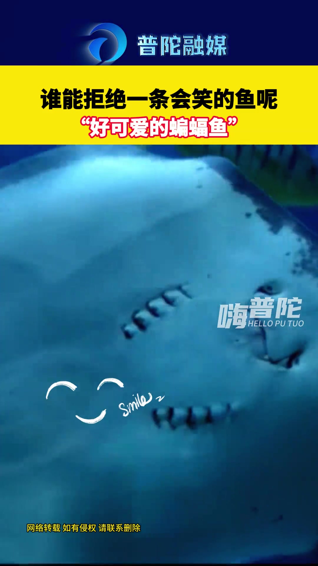 谁能拒绝一条会笑的鱼呢~