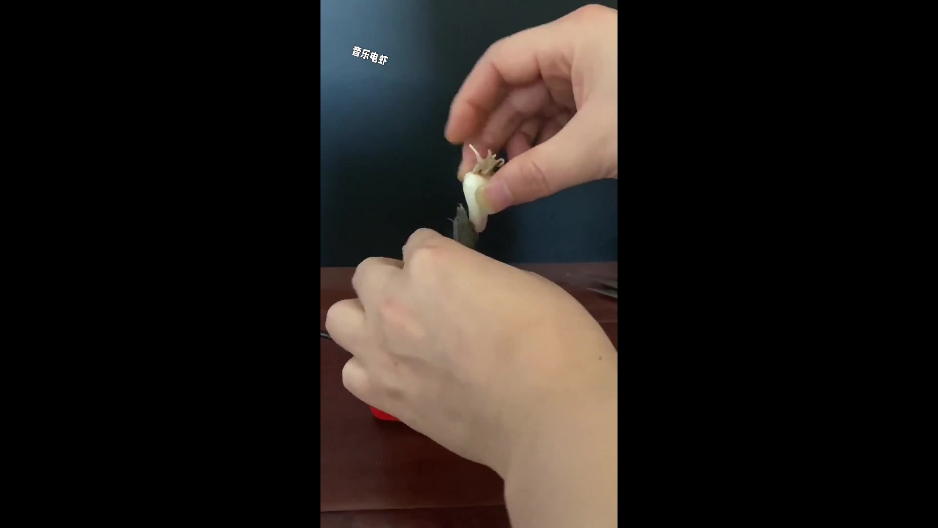 有趣的音乐电舞蹈虾