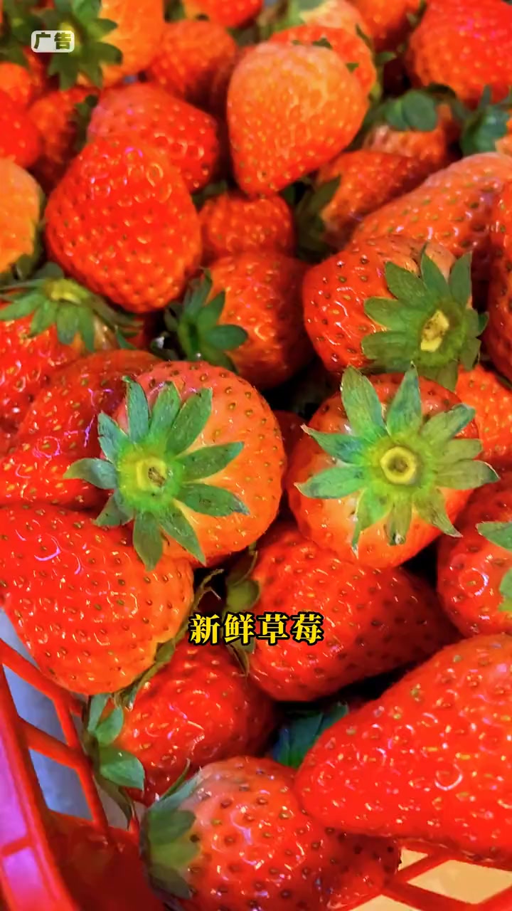 息县 美味于口,经典于心 同城发现 这家蛋糕店的蛋糕一整个爱住了 甜品烘焙 动物奶油生日蛋