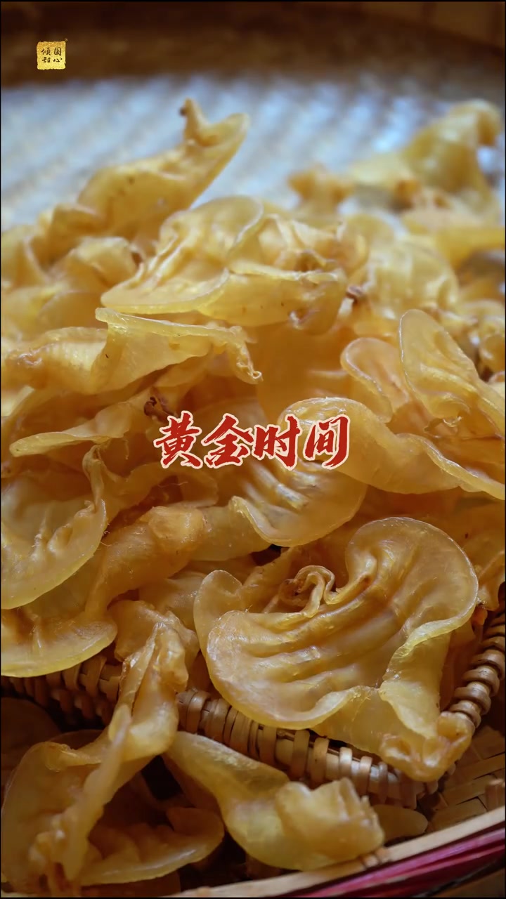 又被生活叫醒了 没有完美的生活 只有最好的心态 所有的最好,都不如吃花胶的岁月静好   潮