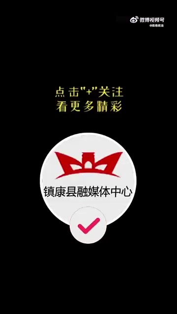 「群众主动上交中华穿山甲和紫水鸡」近日,云南临沧,镇康县公安局森林警察大队接收到群众上交的