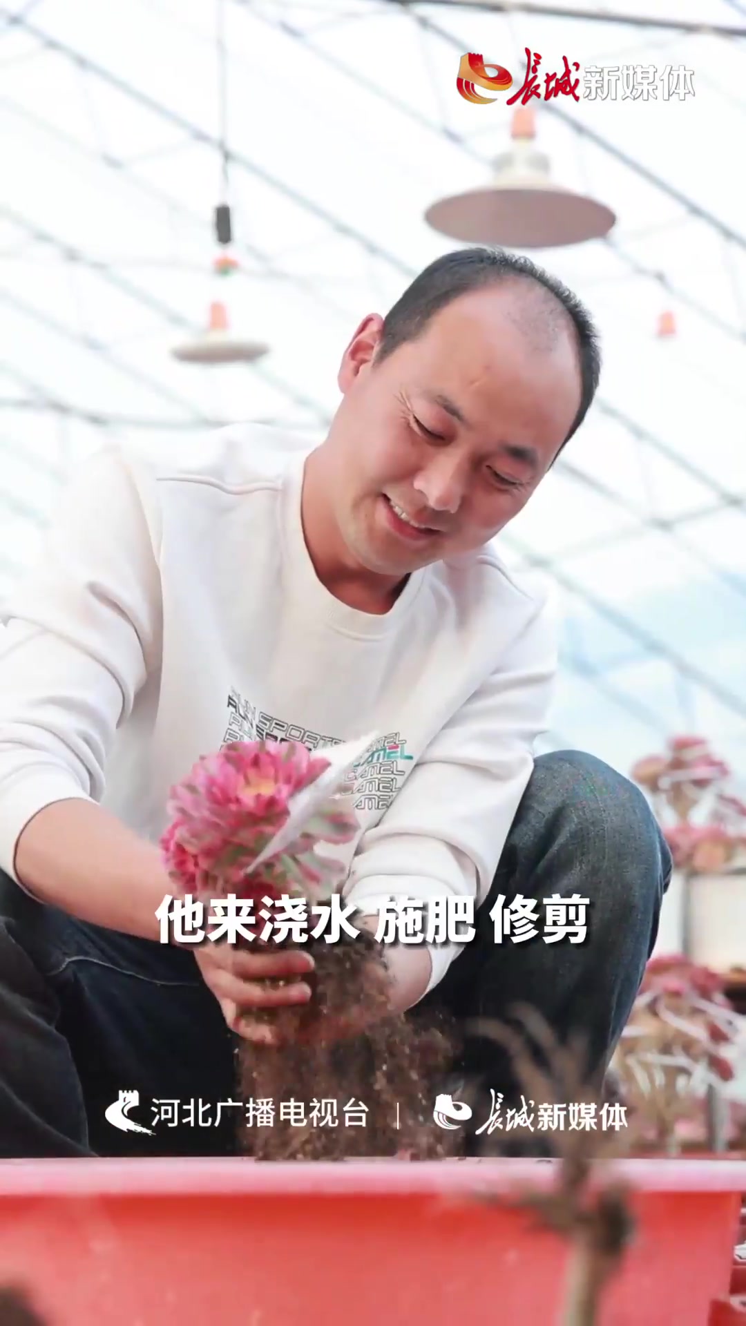 多肉养出“致富花”