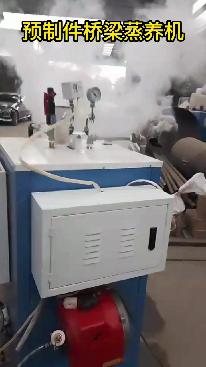桥梁蒸汽养护机 80公斤燃油混凝土蒸养机试机效果