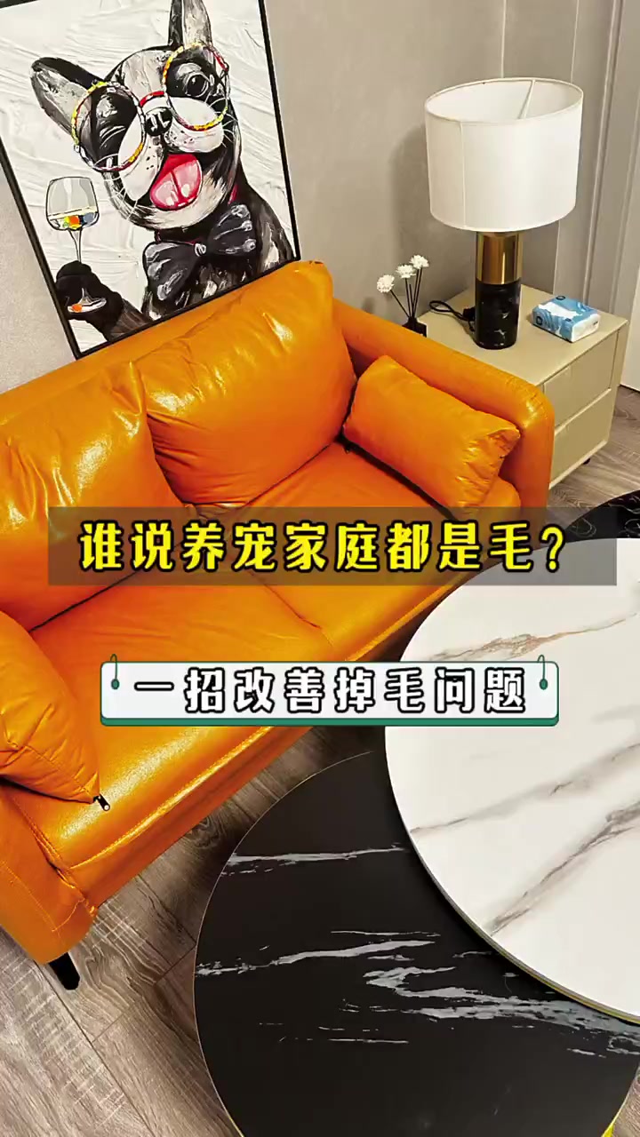 谁说的养宠家里都是毛,看看我家的狗!自从吃了“卵磷脂深海鱼油”怎么抓怎么梳都不怎么掉毛了!