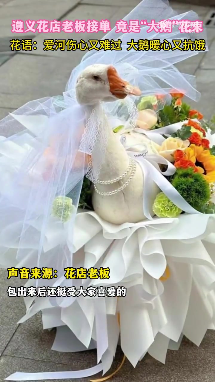 「大鹅花束是礼物界实用战神」近日,贵州遵义一花店老板接单,要求竟然是给朋友包装一束“大鹅”