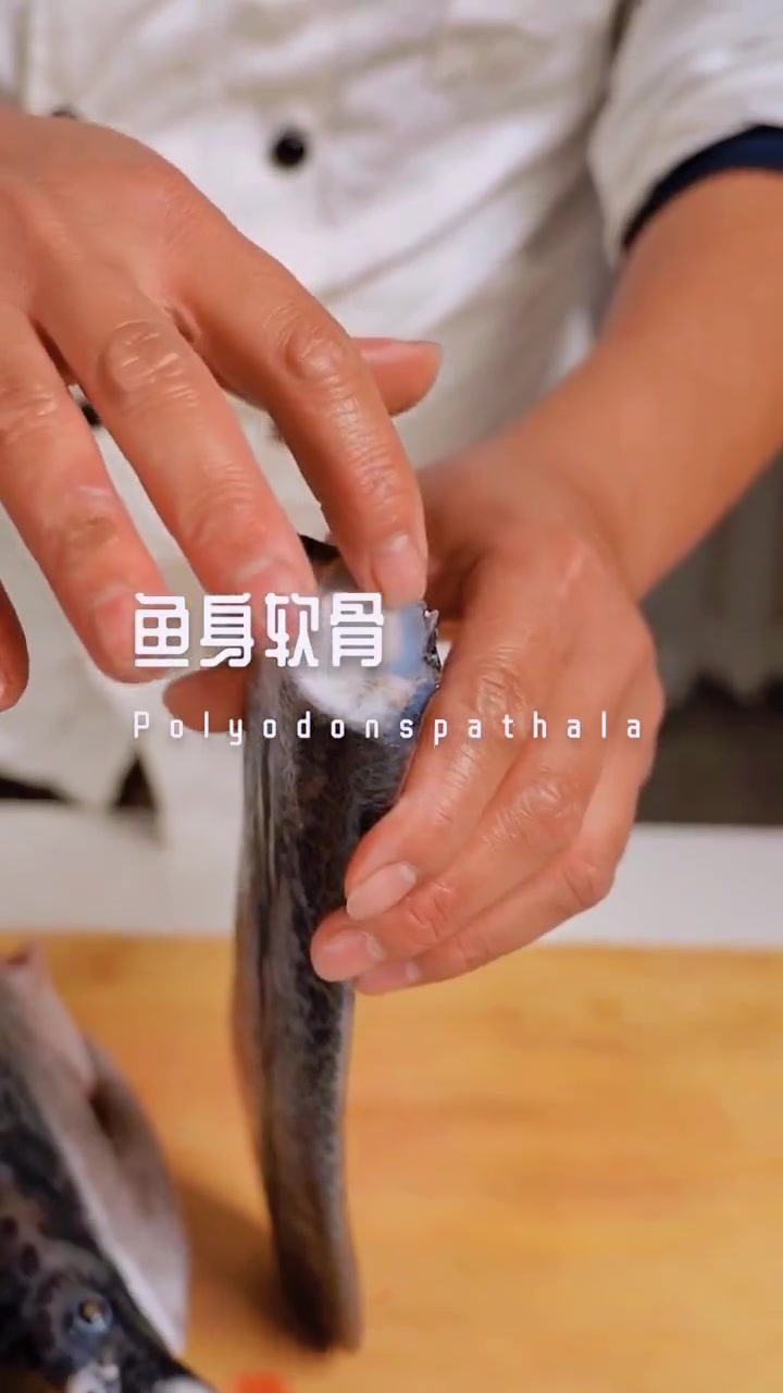 鸭嘴鱼长年有货。美味鸭嘴鱼的各种吃法。你吃过吗?鸭嘴鱼 养鱼 美食 钓鱼 鲟鱼