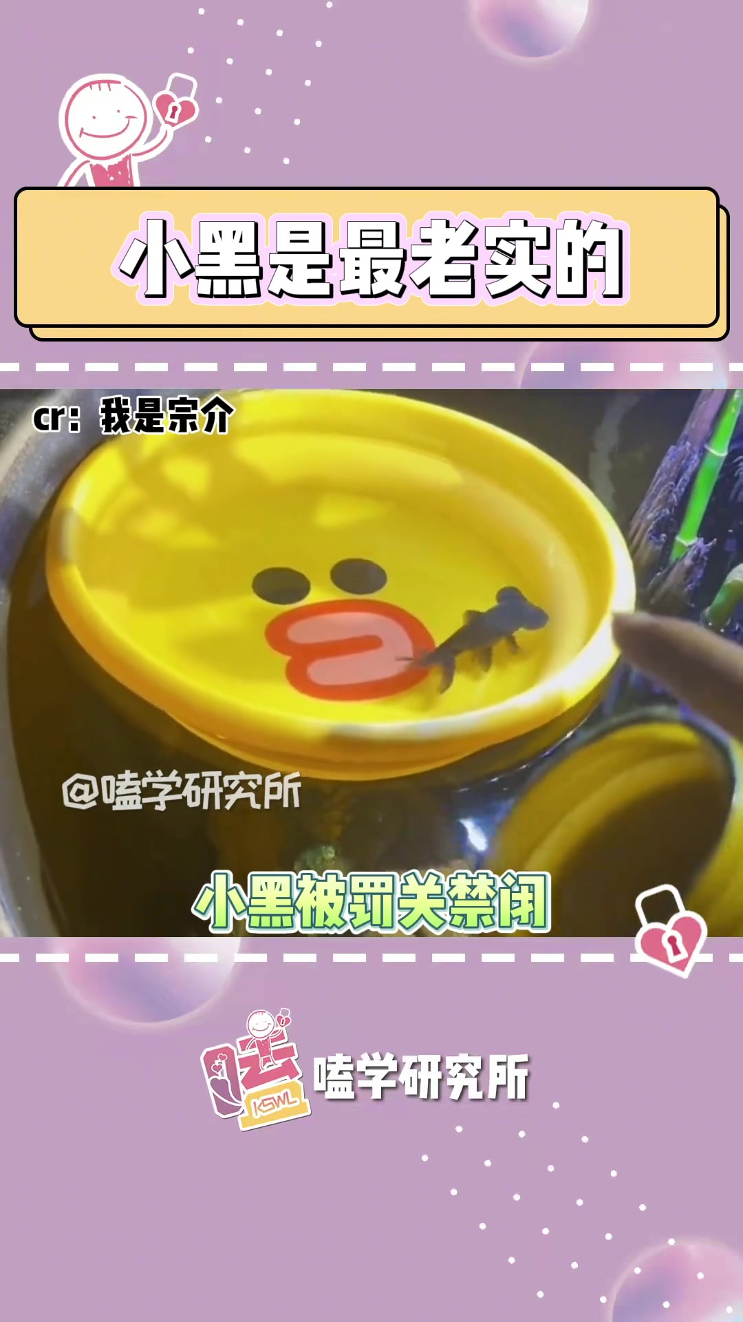 小黑:你知道的,我本来就有舌头 鱼 怪鱼 遇到事情不要慌 每个生命都应该被尊重 搞笑