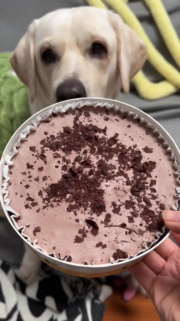 最近很火的平野村黑森林蛋糕测评 干饭狗的日常 黑森林蛋糕
