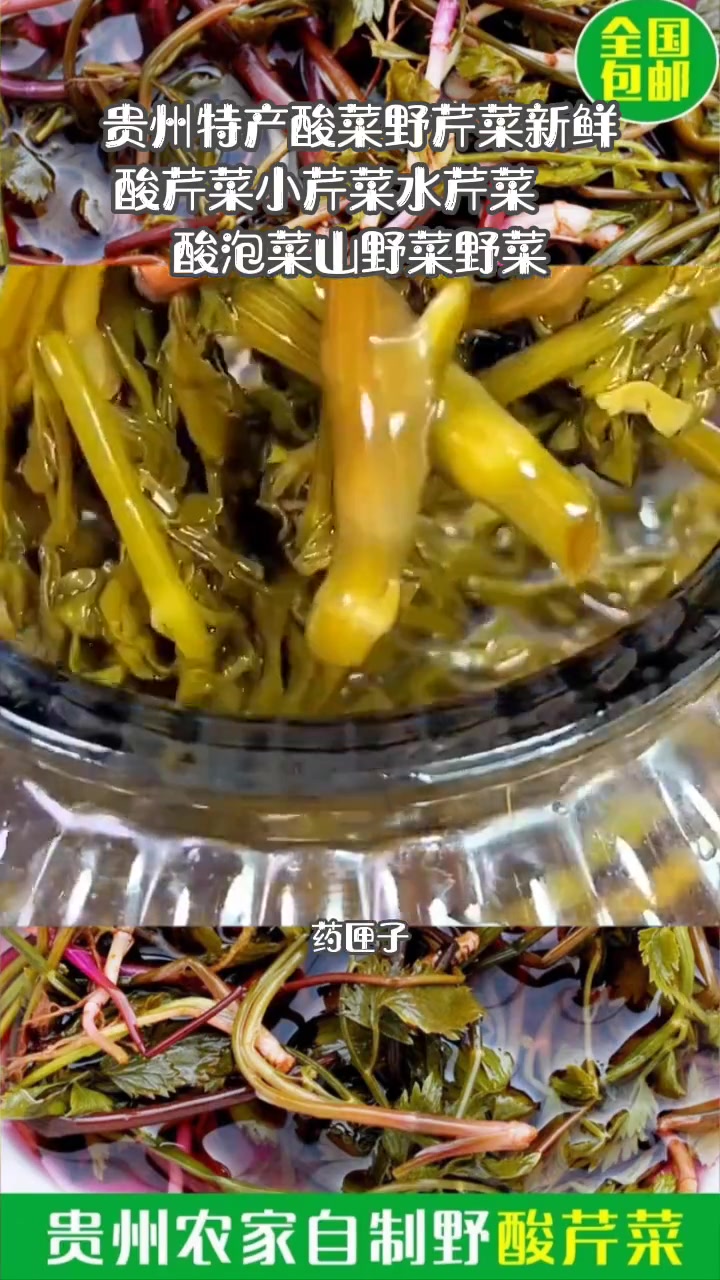 真材实料才能做出好味道 贵州特产酸菜野芹菜新鲜酸芹菜小芹菜水芹菜酸泡菜山野菜野菜