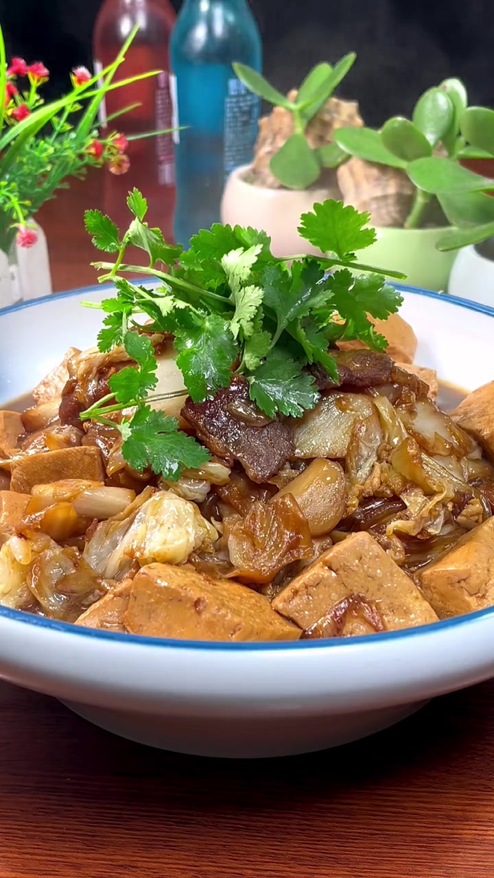 冬天来上一盆白菜豆腐五花肉炖粉条好吃又暖和,不管是吃米饭还是馒头都不错 学会快去试试吧 猪