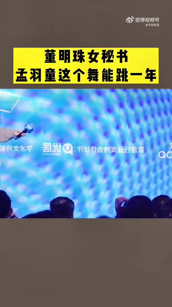 孟羽童个人简介是前500强董事长秘书 董明珠为了培养孟羽童是煞费苦心,既然目前已经闹掰,个