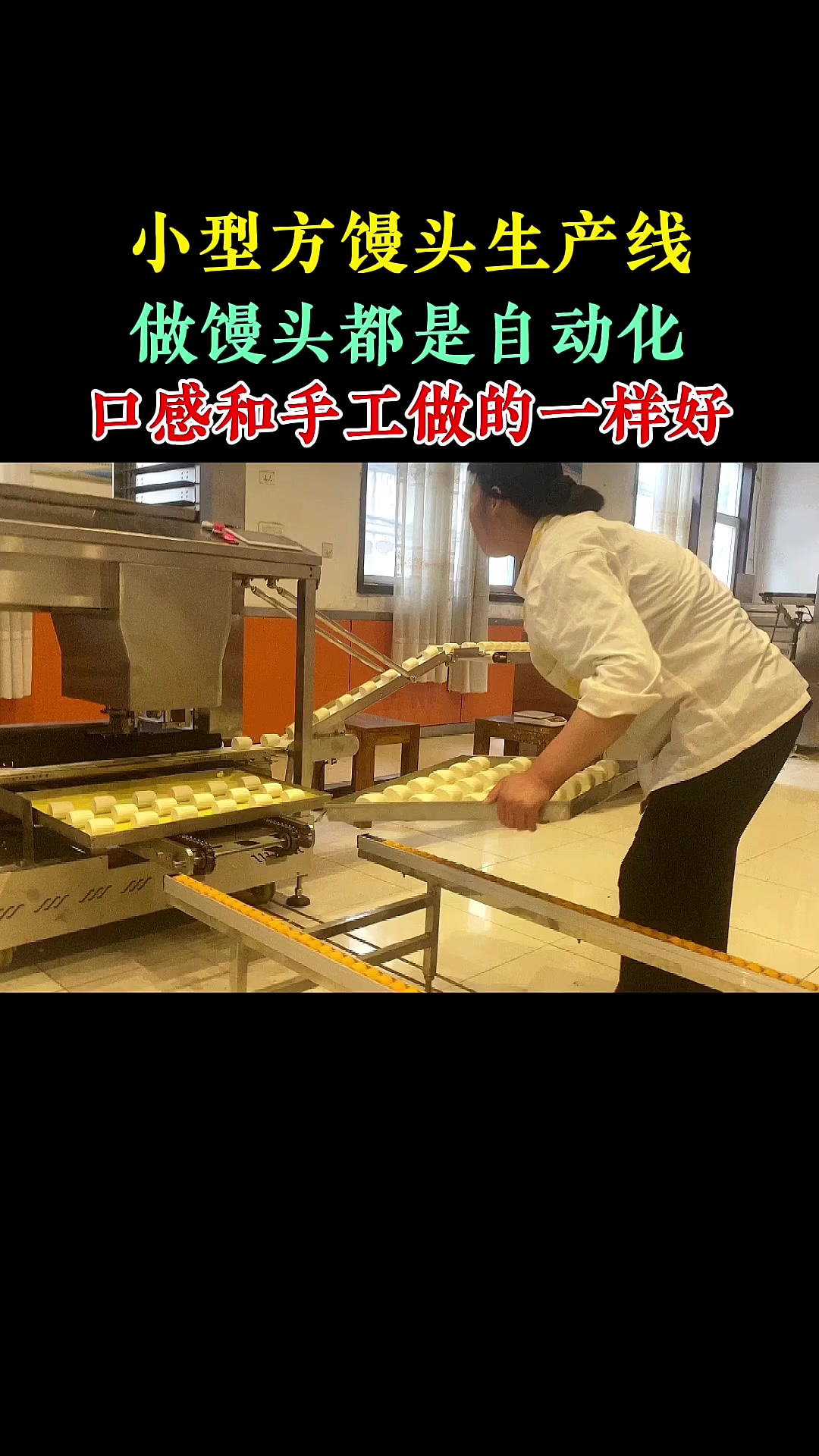 小型#馒头生产线 ,做馒头不用人,仿手工生产,口感劲道有嚼劲#