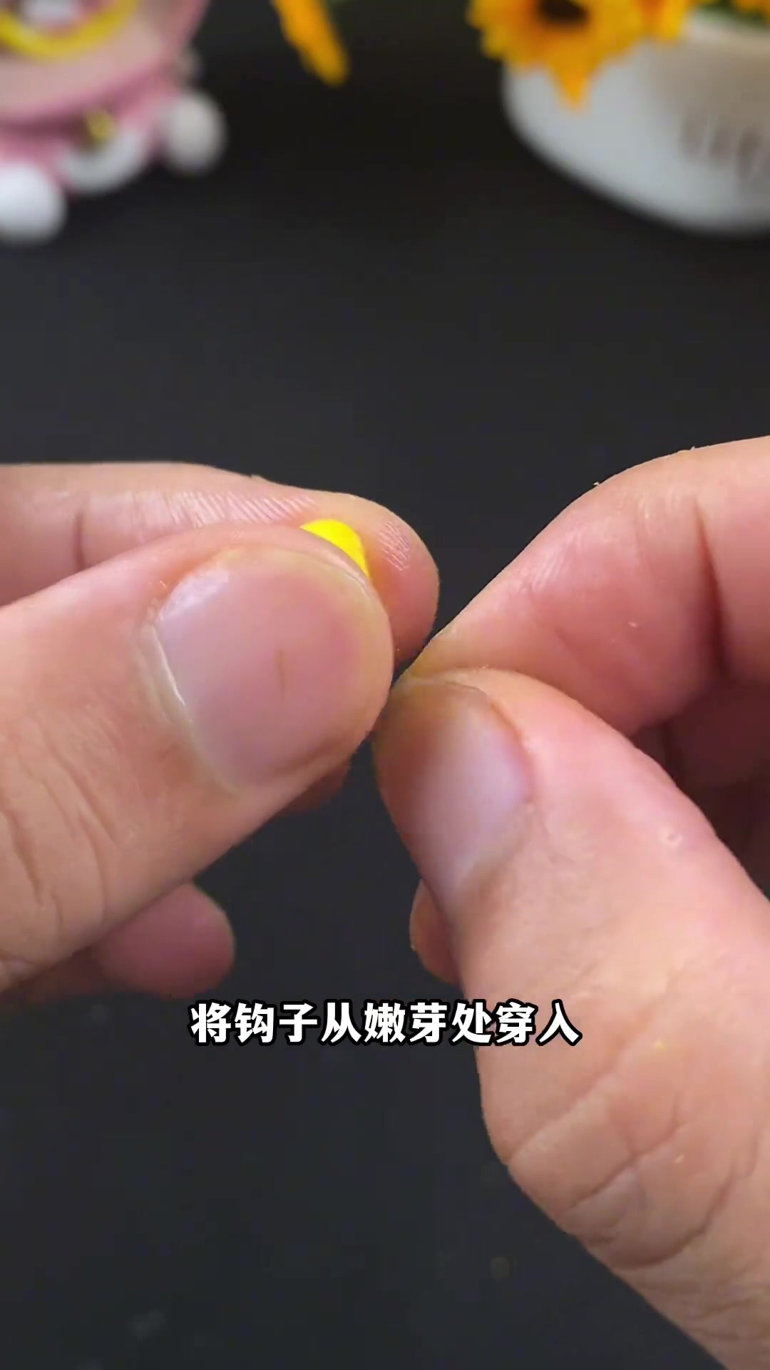 钓鱼新手必学,挂玉米的正确方法!