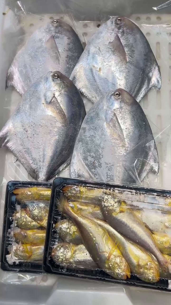 小网海鲜鲳鱼梅子鱼