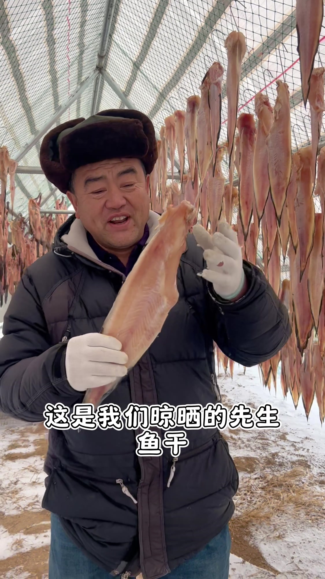 渔民老海领大家来晒场了,新鲜的先生鱼拿到手直接蒸熟就可以凉拌
