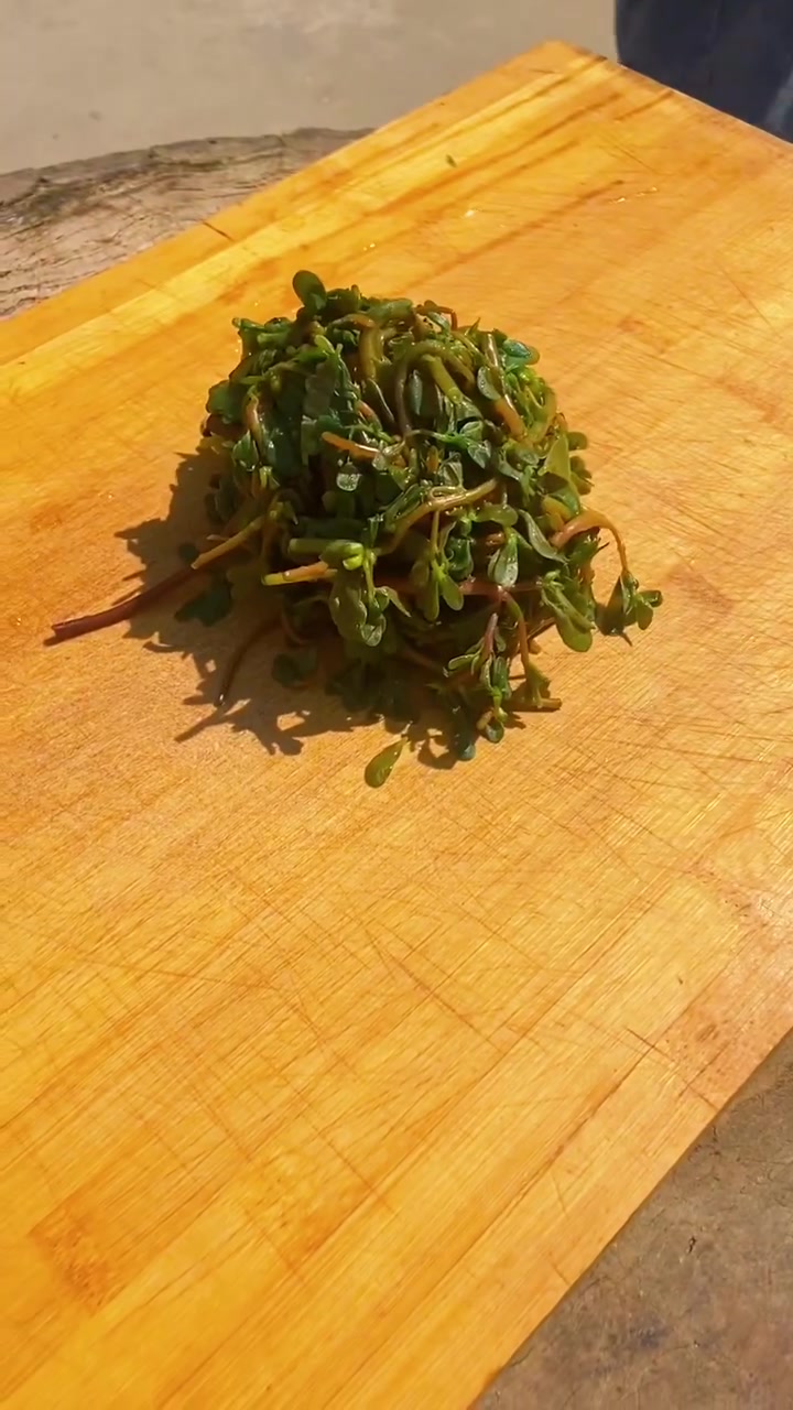 马齿笕丸子,我们这里下午雨后会长出很多这样的野菜,也叫妈妈菜