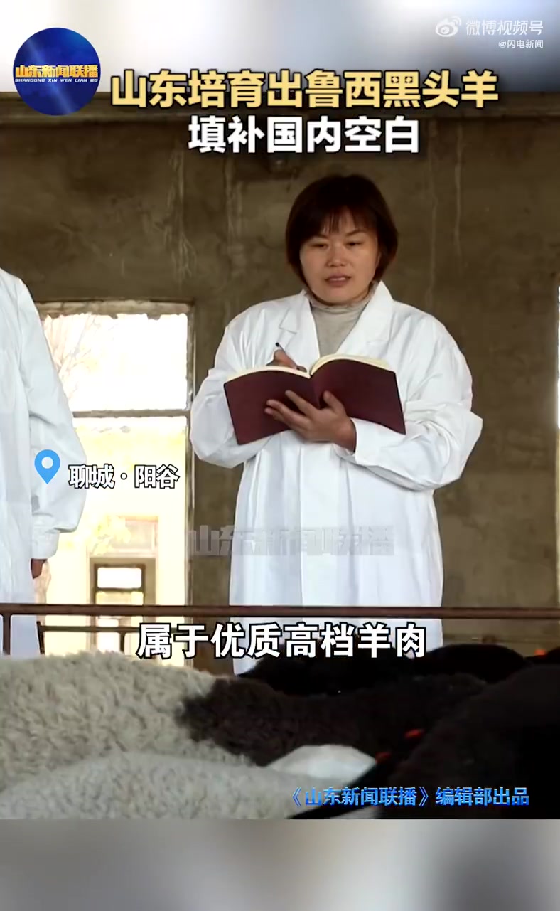 「羊界包青天帮农民增收近三亿」近日,山东聊城,一群羊界“包青天”火出圈。鲁西黑头羊,人送外