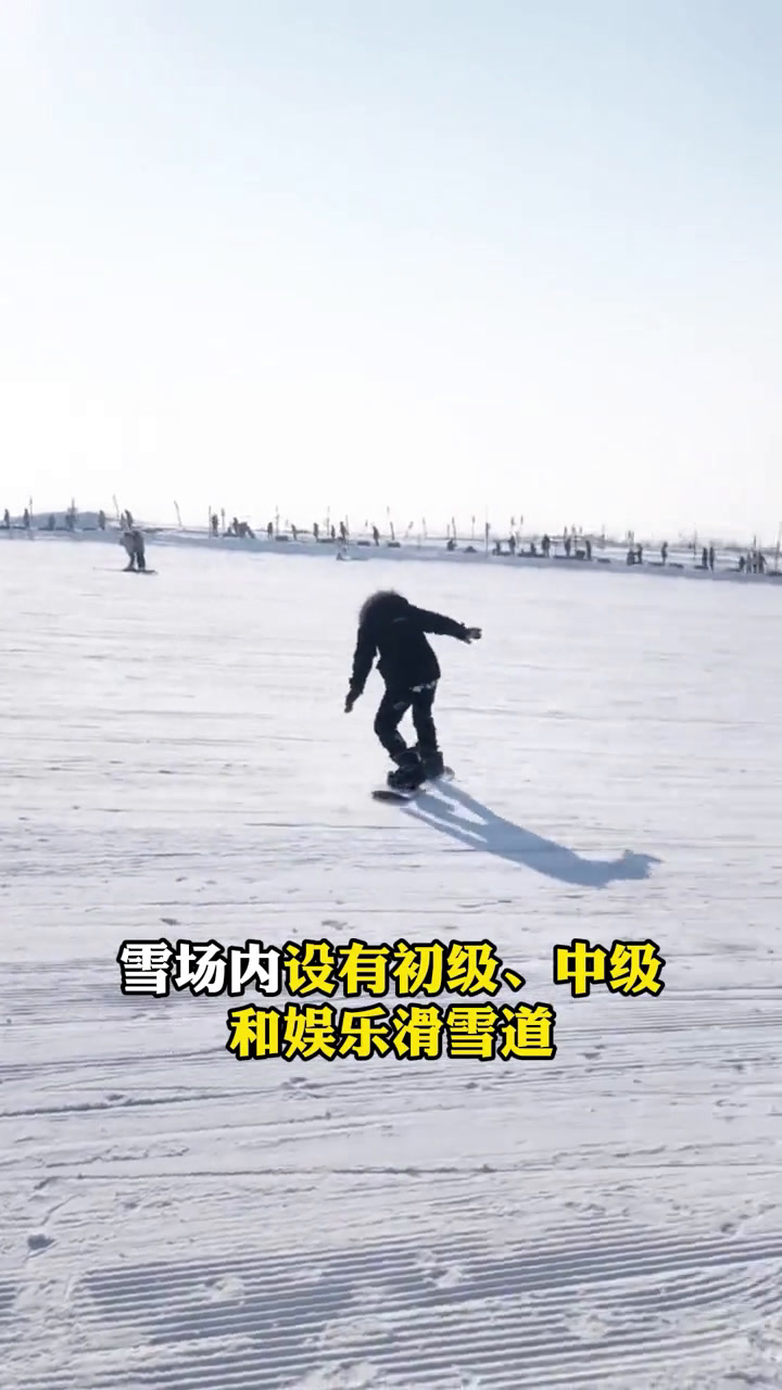 中国美丽乡村休闲旅游行——新疆(伊犁州)伊宁市 冬季伊宁滑雪体验游 伊犁 滑雪 雪景 天鹅