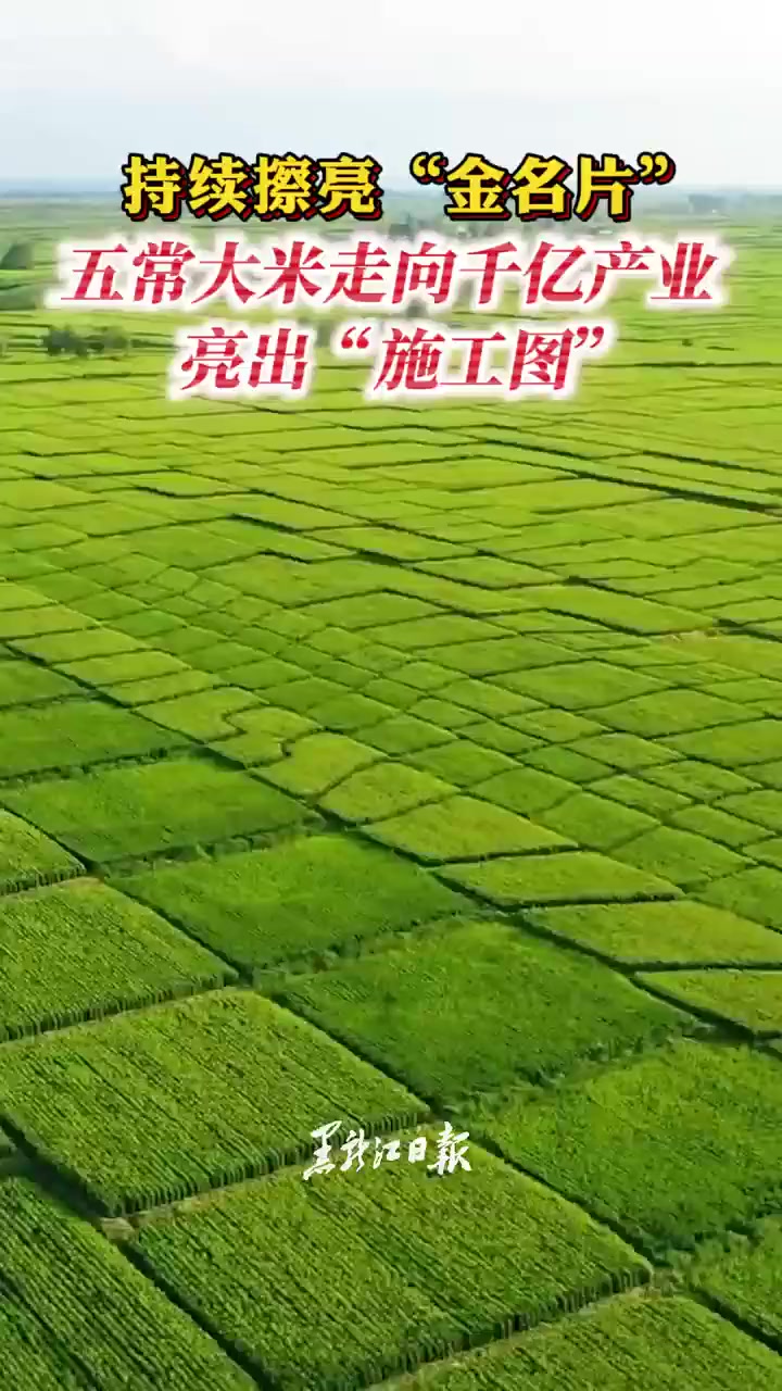 持续擦亮“金名片” 五常大米走向千亿产业亮出“施工图”
