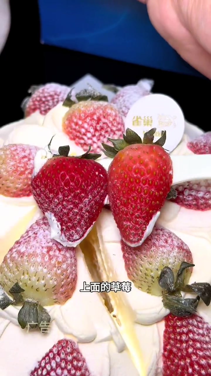 马上圣诞了,雀巢的新款水果夹心蛋糕赶紧安排上了。被冬季美食整心动了 2023相册里都是吃胖
