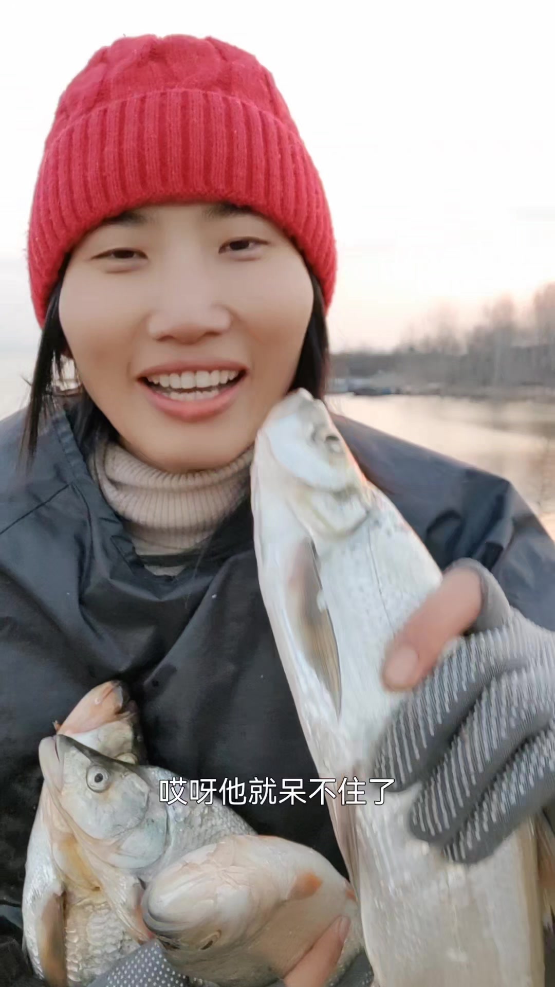 丹江翘嘴白红尾鱼