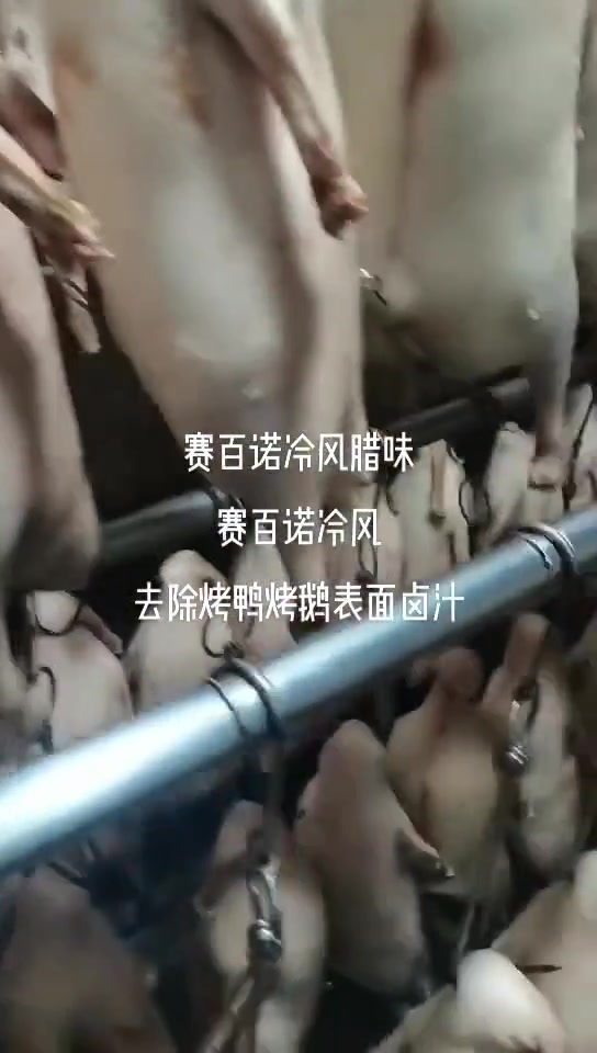 烧鹅胚子冷风除湿房 烧鸭冷风除湿 冷风除湿机 空气能烘干房